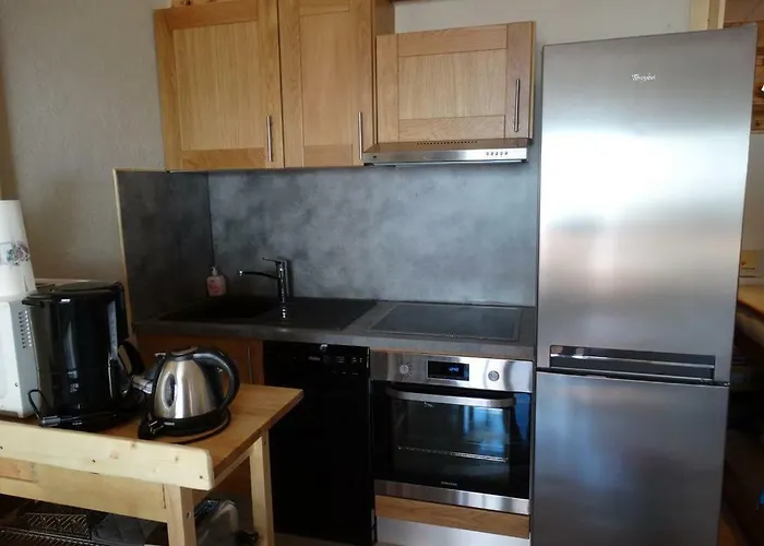 4 Pers, Coeur Station, Proche Pistes Les Deux Alpes